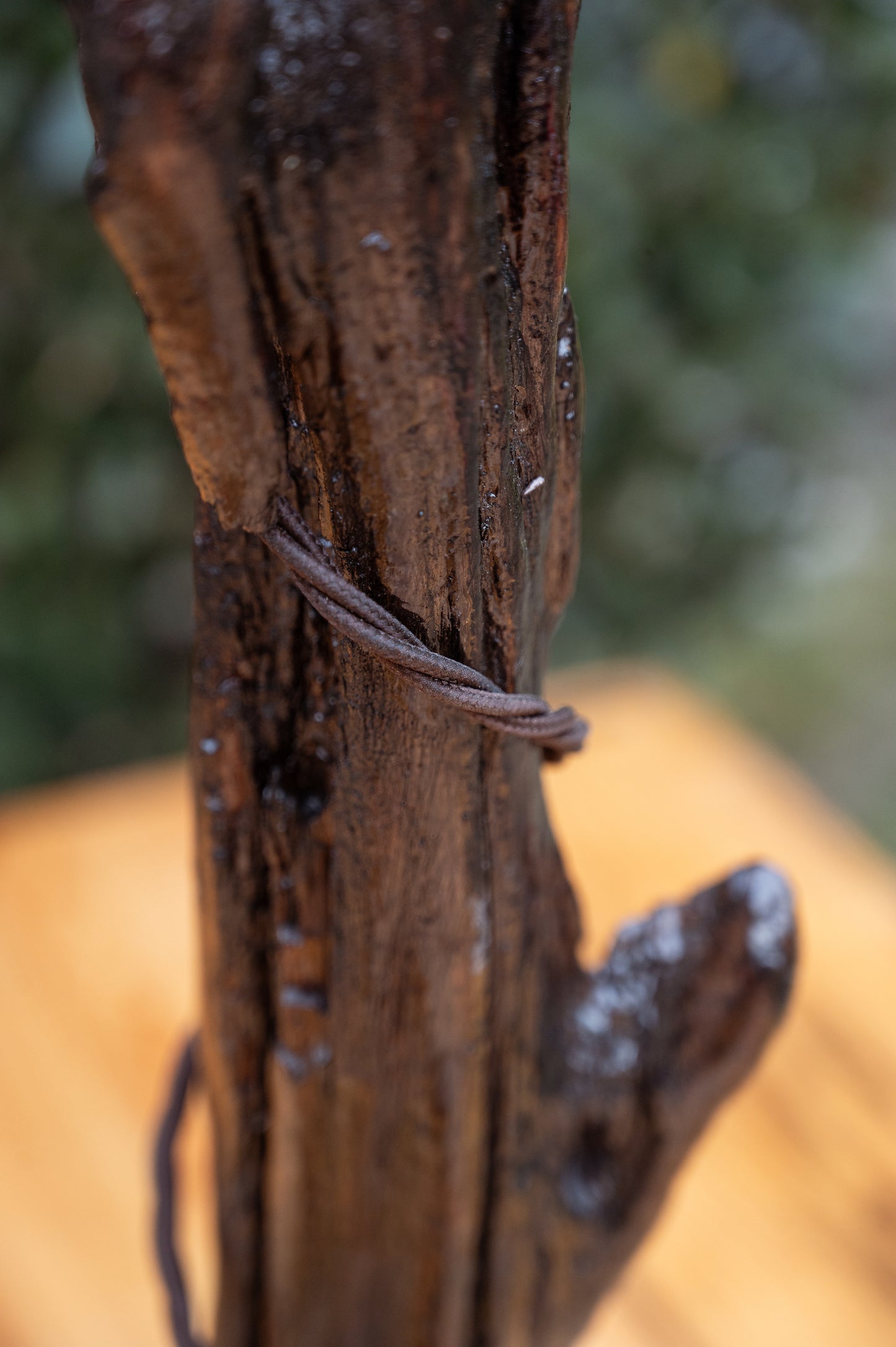 TORRE DI LEGNO SELVA - CONSCIOUS LAMP
