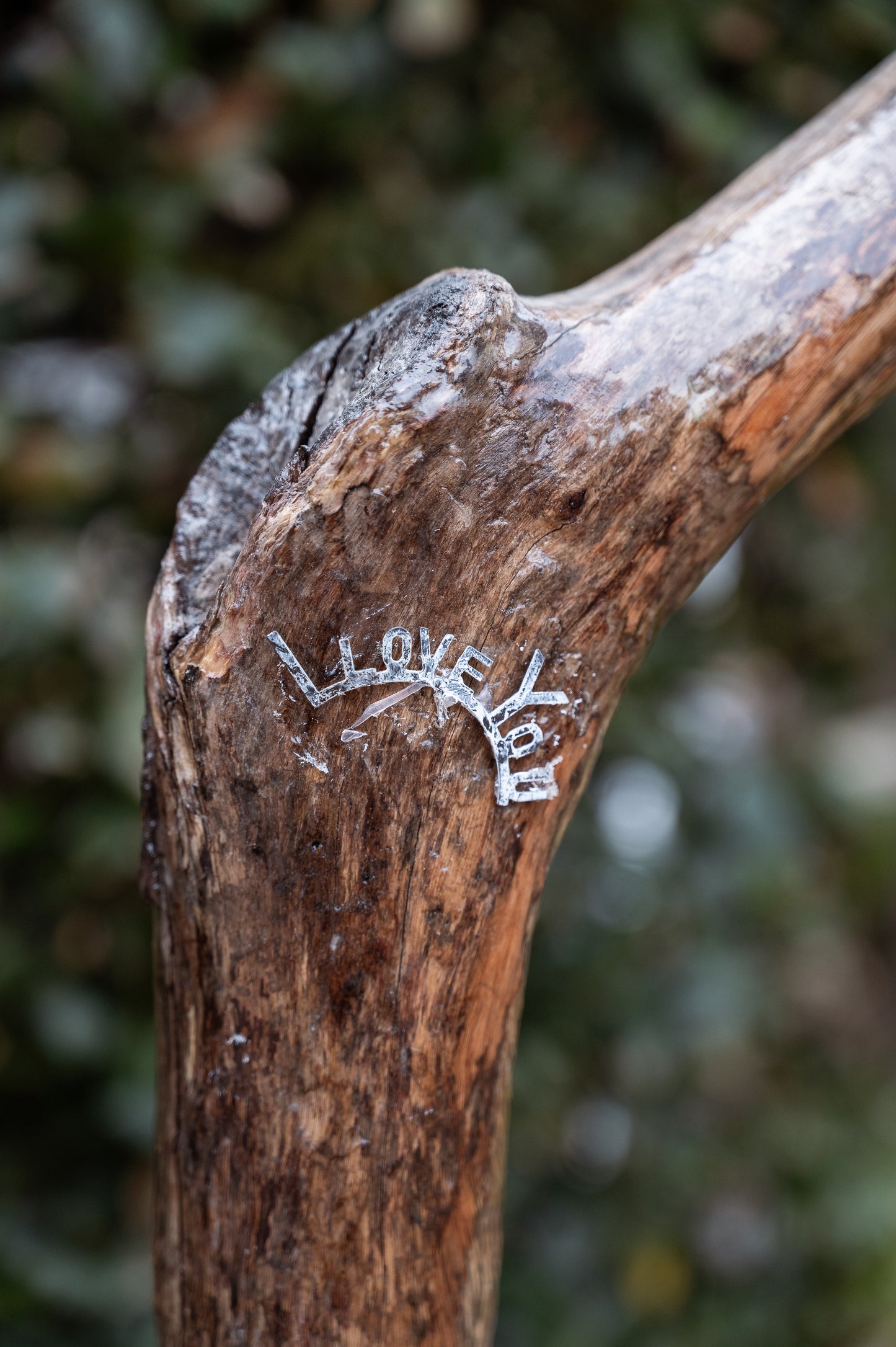 TORRE DI LEGNO LINFA - CONSCIOUS LAMP