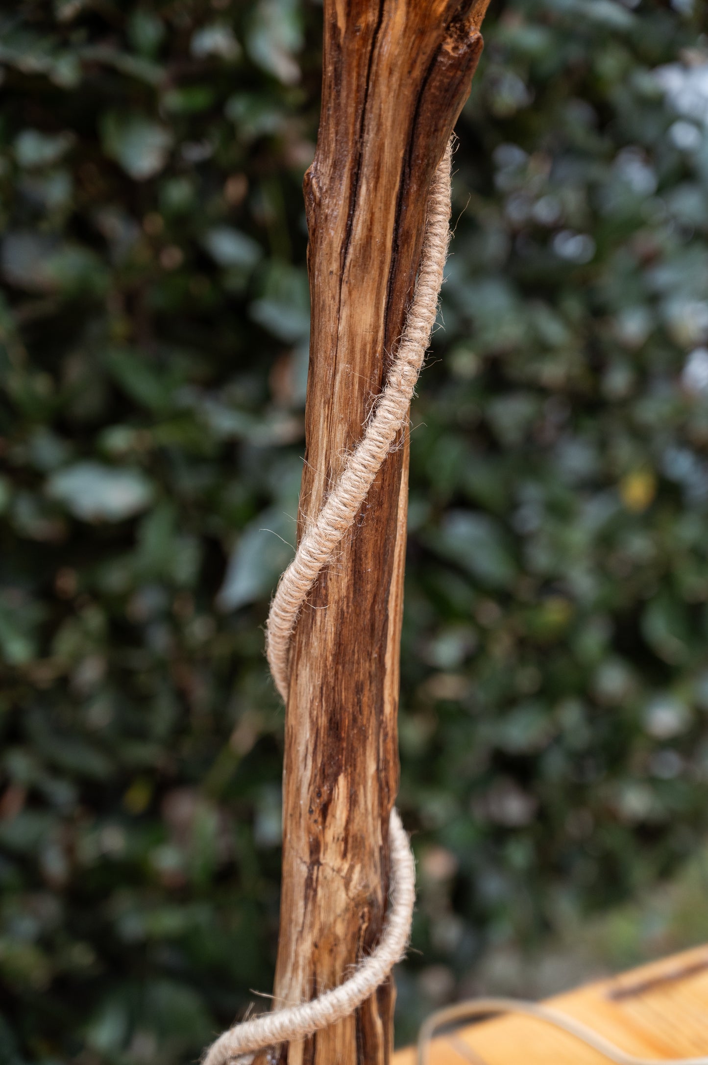 TORRE DI LEGNO BOSCO - CONSCIOUS LAMP