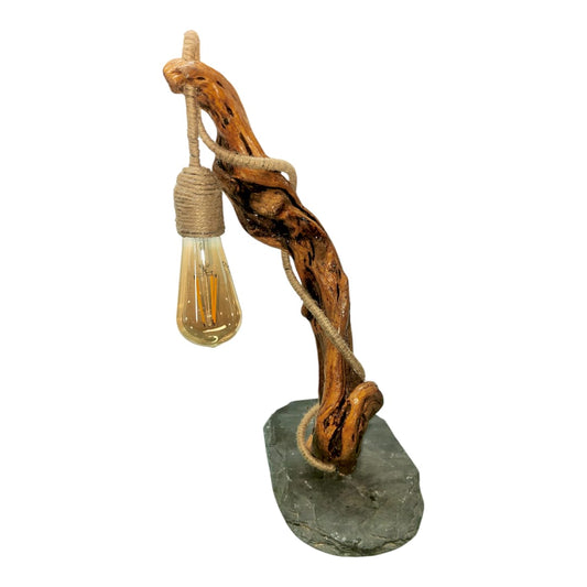 TRONCO A TERRA - CONSCIOUS LAMP